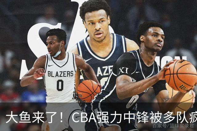 大鱼来了！CBA强力中锋被多队疯抢，或加盟广东队驰援杜锋？